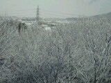 雪