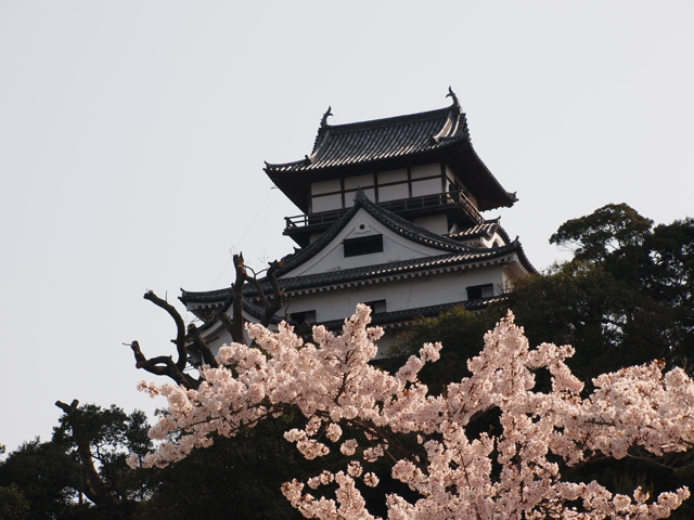 inuyama3