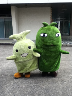 モリゾーキッコロ