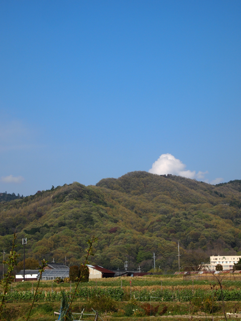 高円山