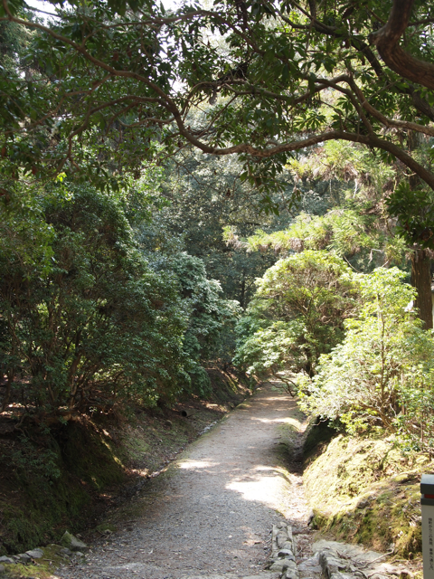 ささやきの小道