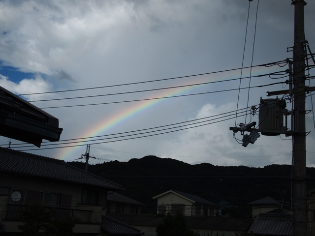 虹