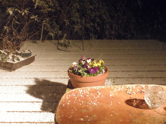 雪
